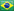 Portugues